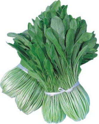 Picture of Mibuna Green Spray F1